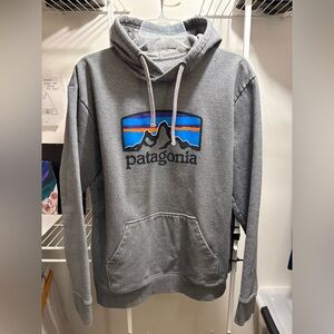 Patagonia Gray Hoodie with Logo Design